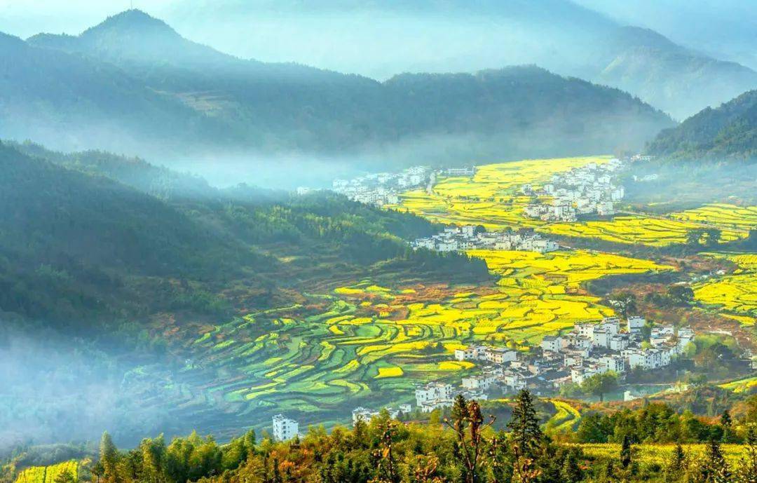 江西: 探寻地域魅力与人文风采的评论文章