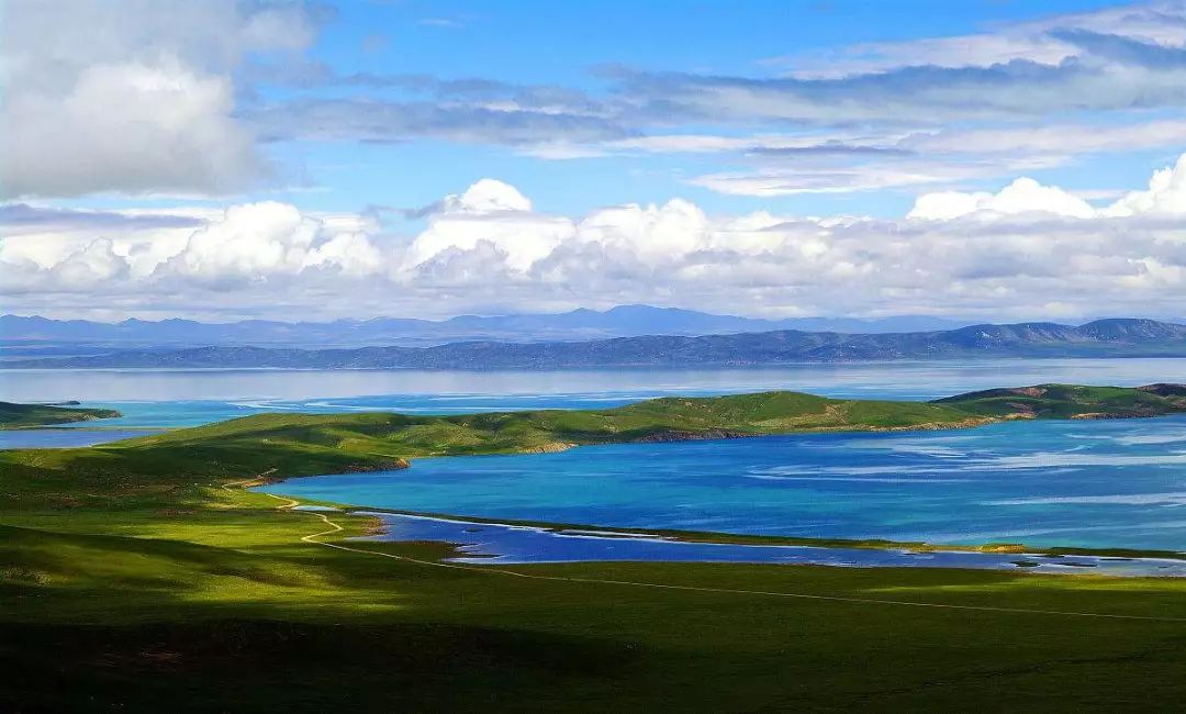 青海盛会，致敬领导与朋友们的尊贵聚会
