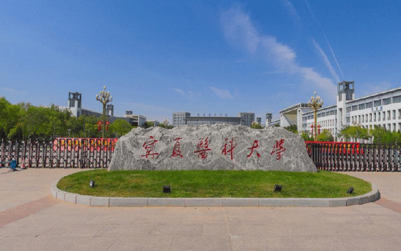 宁夏,心驰神往的绝美风景画卷