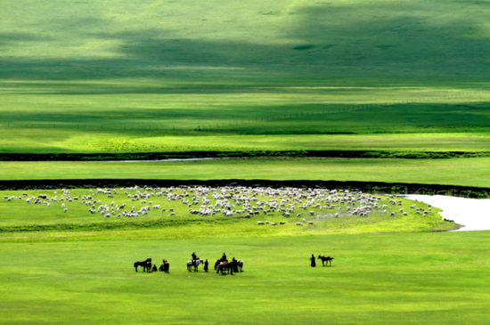 呼伦贝尔,草原之心的壮丽世界探索之旅
