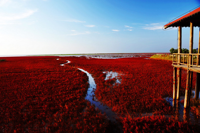 盘锦小巷独特风味探秘